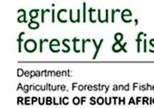 Rock Lobster Season Shortened